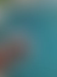 What kind of Maintenance does my SkimmerMotion need?