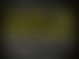 Norbert Häring : Endspiel des Kapitalismus