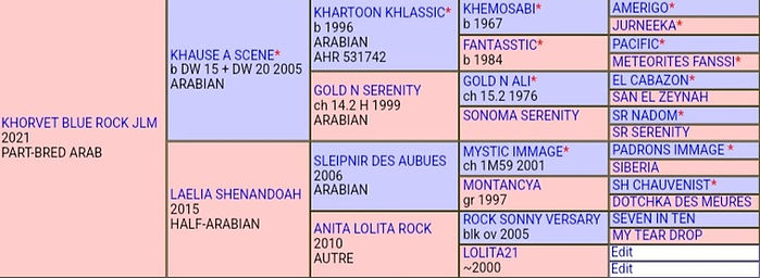 KHORVET BLUE ROCK JLM