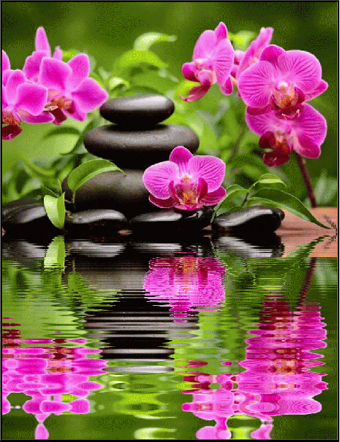 INNER PEACE