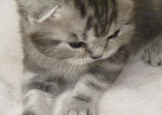 IMG_0585_edited.jpg