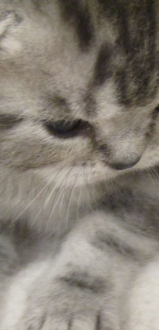 IMG_0585_edited.jpg