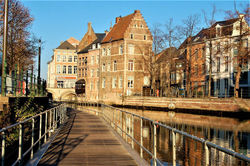 50543036_1159924980798708_73634850125171