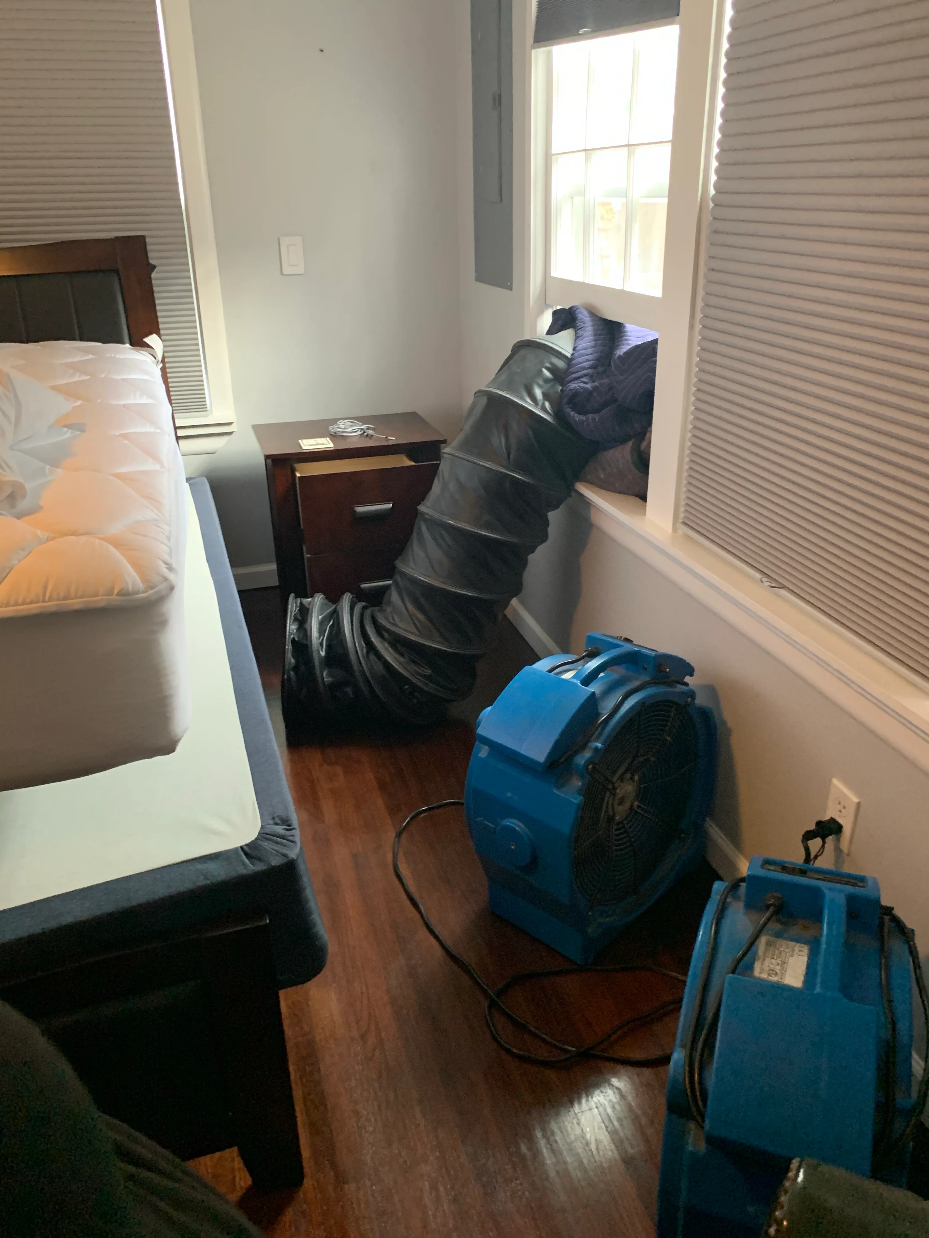 Servlabs Heat treatment for pest control issues