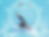 navya 5.png