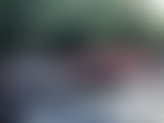 Helping Our Neighbors