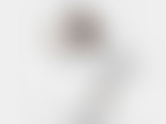 CURTE UM RAP? CONHEÇA O “LENDA ZN”