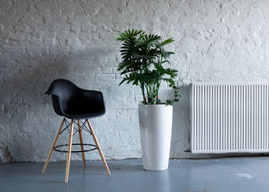 Studio Piippu, Vaajakoski