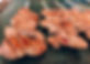 S__371392553_0.jpg