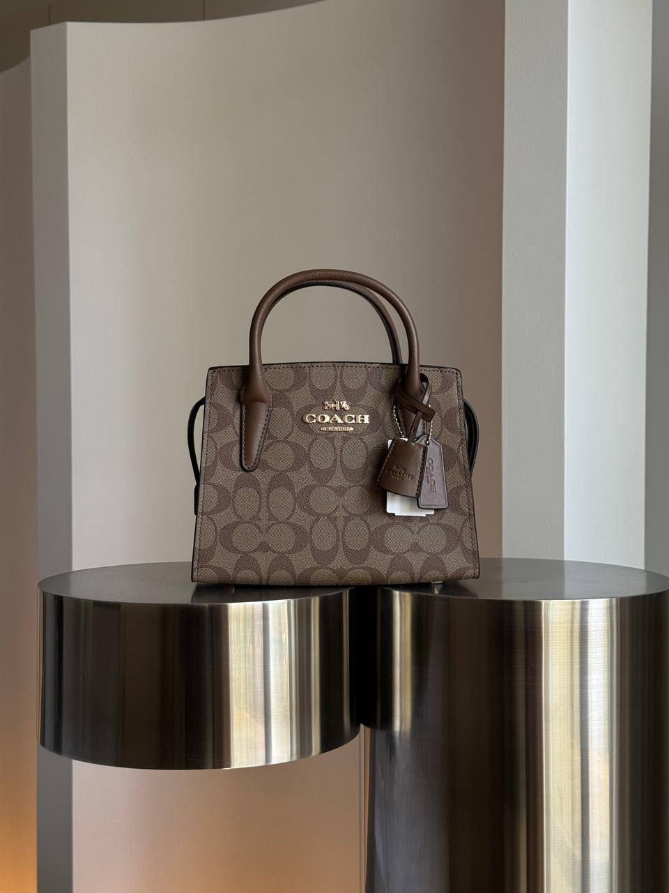Miniatura: Coach Andrea Carryall In Signature Canvas Beige
