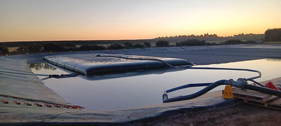 WhatsApp Image 2025-05-21 at 18.08.22_8bf43d9c.jpg