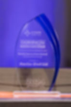 SITE SAFE - HEALTH SAFETY & INNOVATION AWARD
Dominion Constructors Safety Innovation Award for small to medium-sized organisations