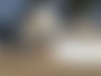 Foundation Care for New and Existing Homeowners 