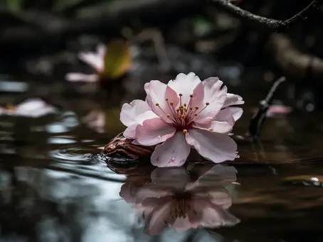 Dzień życia konsekrowanego.