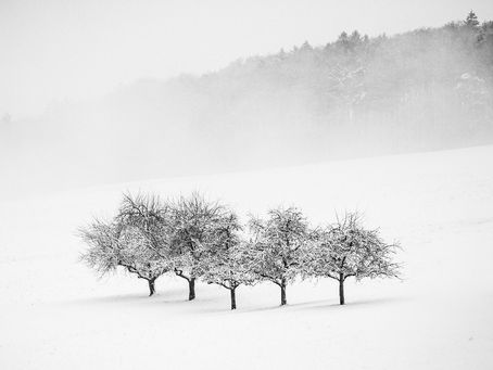 Sprawy marzeń
