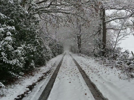 Księga Hioba- wyznanie niewinnego