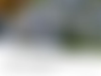 Close-up of blue forget-me-not flowers with text about sharing a consecration message for peace and love. The focus is serene and hopeful.