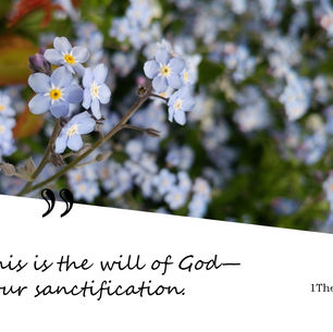 Close-up of light blue flowers with a blurred green background. Text reads, "This is the will of God—your sanctification." 1Thes 4, 3. Day 3.A quote from 1 Thes.4, 3 in handwriting font, black and white; on the other half a picture of forget-me-nots as a reminder of Mary's virtues, love, Mantel.