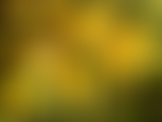 Biblijne znaczenie kasji – duchowa symbolika i woń namaszczenia – Listy do Kasji