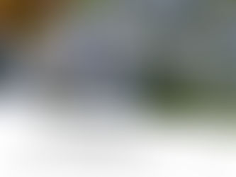 Niebieskie niezapominajki na tle liści. Cytat: "Jaką miarą wy mierzycie, taką i wam odmierzą." Mateusz 7:2 DZIEŃ 22 na białym tle.