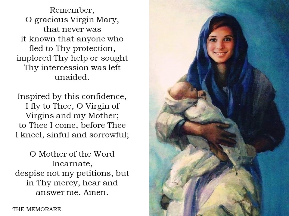 A beautiful painting of Mary in dark blue withe the baby Jesus, on the left a prayer " o Mother of the word incarnate..."
