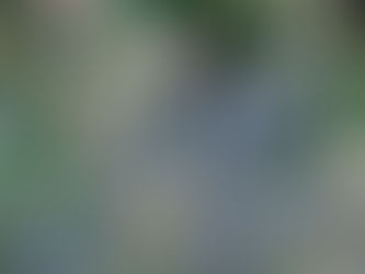 Happiness Depends on Inner Conditions: Carnegie & Jesus