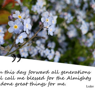 Close-up of small blue flowers with yellow centers against a blurred floral background. Text reads: "From this day forward... Luke 1:48-49 DAY 29."