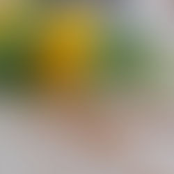 Żółte kwiaty mniszka i białe kwiaty z zielonymi liśćmi na stole. Rozsypane żółte nasiona. Jasne, naturalne światło. symbol słów, które siejemy, to zbieramy.