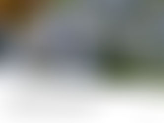 Close-up of blue flowers in a garden, with text: "Now a great sign appeared in the heavens..." and "Day 32 Rev. 12:1" on a white panel.