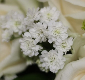 a close up of white little flowers from the bouquet like many ways in life