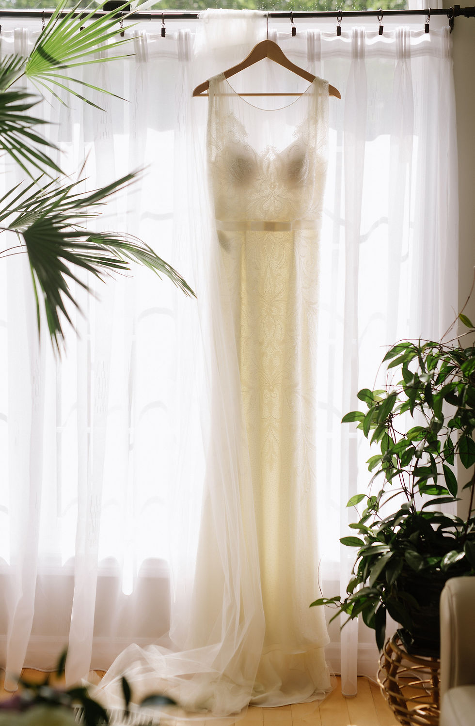 Ivory wedding dress hangs in front of sheer curtains, surrounded by green plants. Sunlight filters through, creating a tranquil setting.
