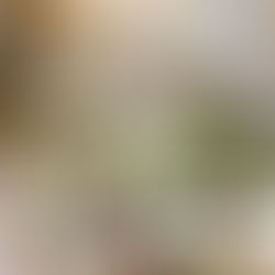 Wedding collage: Brides with bouquets, guests in formal attire, floral centerpieces, tiered cake, rings on hands, and "Welcome to Our Wedding" sign.