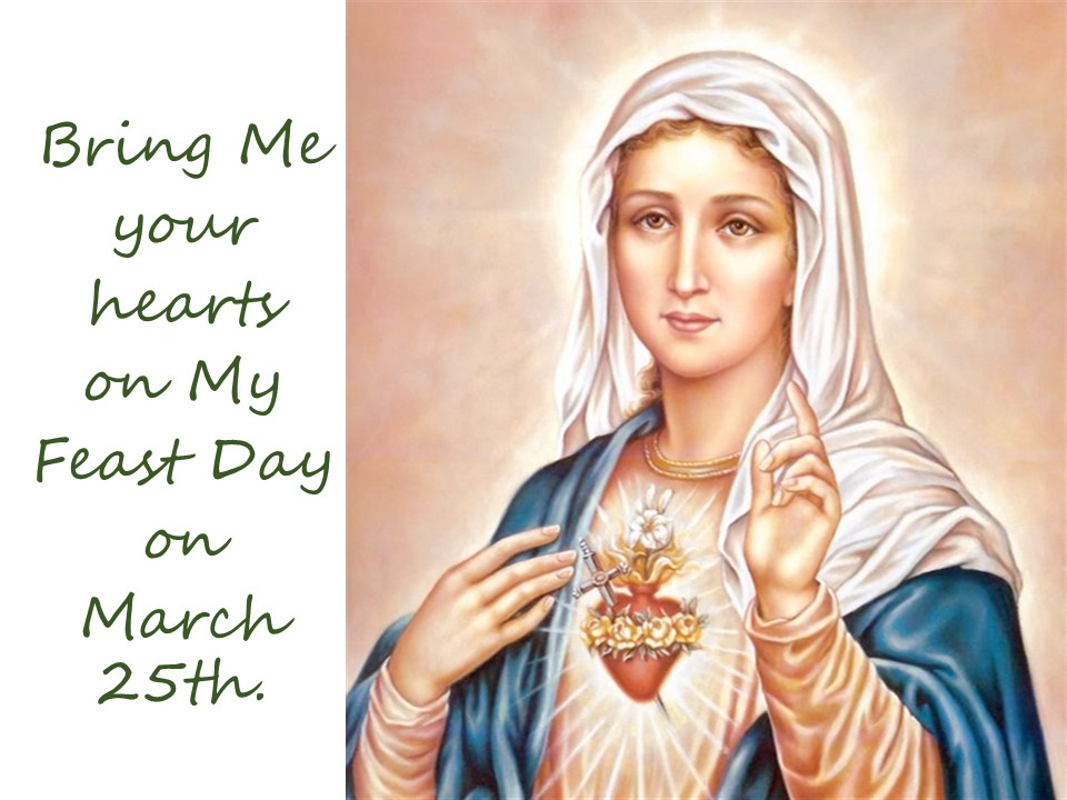 Image of Mary Mother of Jesus pointing to her Immaculate Heart day 29 Mary  NOWENNA 33