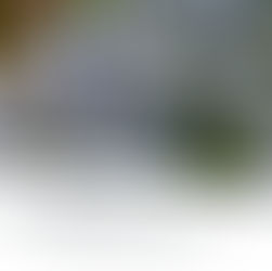 Close-up of light blue forget-me-nots with green leaves. Quote: "For the Mighty One has done great things for me. Holy is His name." Luke 1:49, Day 14.