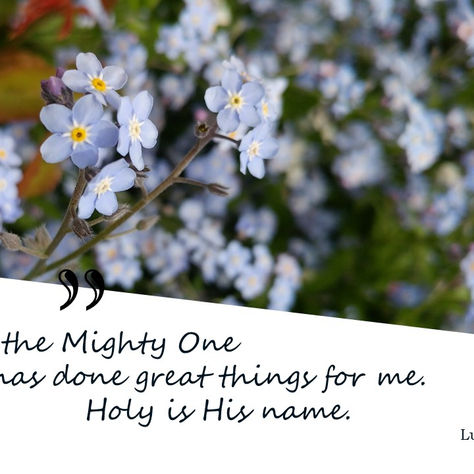 Close-up of light blue forget-me-nots with green leaves. Quote: "For the Mighty One has done great things for me. Holy is His name." Luke 1:49, Day 14.