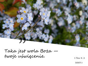 Niebieskie niezapominajki na tle zieleni. Cytat: "Taka jest wola Boża — twoje uświęcenie." 1 Tes 4:3, DZIEŃ 3.