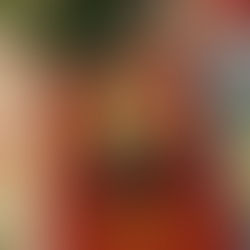 Czerwona książka "Dzienniczek" z portretem zakonnicy na obrusie kwiatowym. Obok roślina w doniczce i świeczka w kształcie owcy.