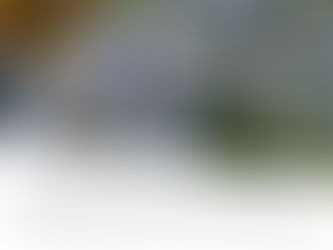 Close-up of blue flowers with a blurred green background. Text: "Mary kept in mind all these things and pondered them in her heart." Luke 2:19, Day 28.