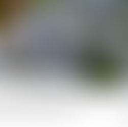 Niebieskie niezapominajki na tle zieleni. Na dole cytat: "Anioł wszedł do Niej i rzekł: Bądź pozdrowiona…". Łukasz 1:28, Dzień 26.