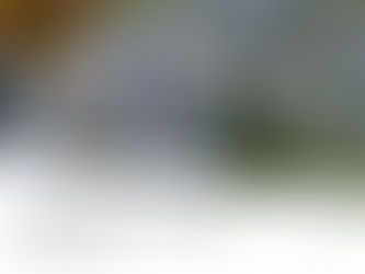 a Bible quote Romans 8, 38 , in the backround beautiful blue forget-me-nots flowers to support the theme of consecration to Mary