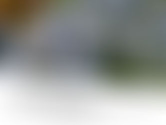 Niebieskie kwiaty na tle zieleni. Cytat z Biblii: "Oto bowiem błogosławić mnie będą..." z Łk 1, 48-49. Dzień 14.