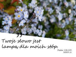 Błękitne niezapominajki z zielonym tłem. Tekst: Twoje słowo jest lampą dla moich stóp. Psalm 118:105 DZIEŃ 23.