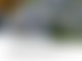 Close-up of purple flowers with yellow centers, blurred green background. Text reads: "The sufferings of this time...glory to come. Romans 8:18 Day 24."