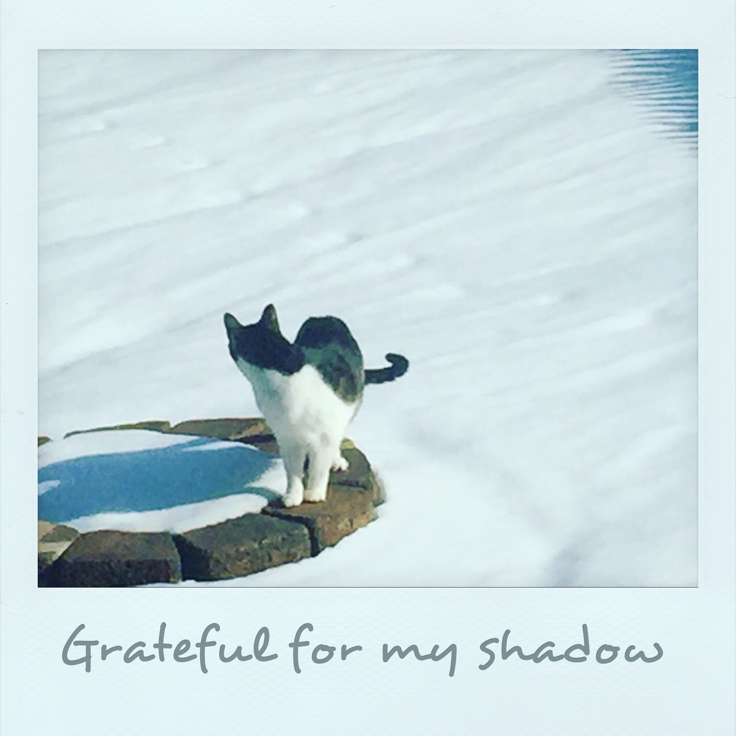 Grateful for my shadow