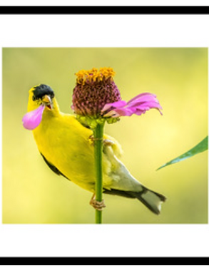 Screenshot 2025-10-27 at 8.37.51 PM.png