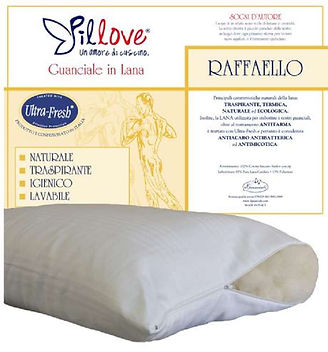 guanciale in lana raffaello