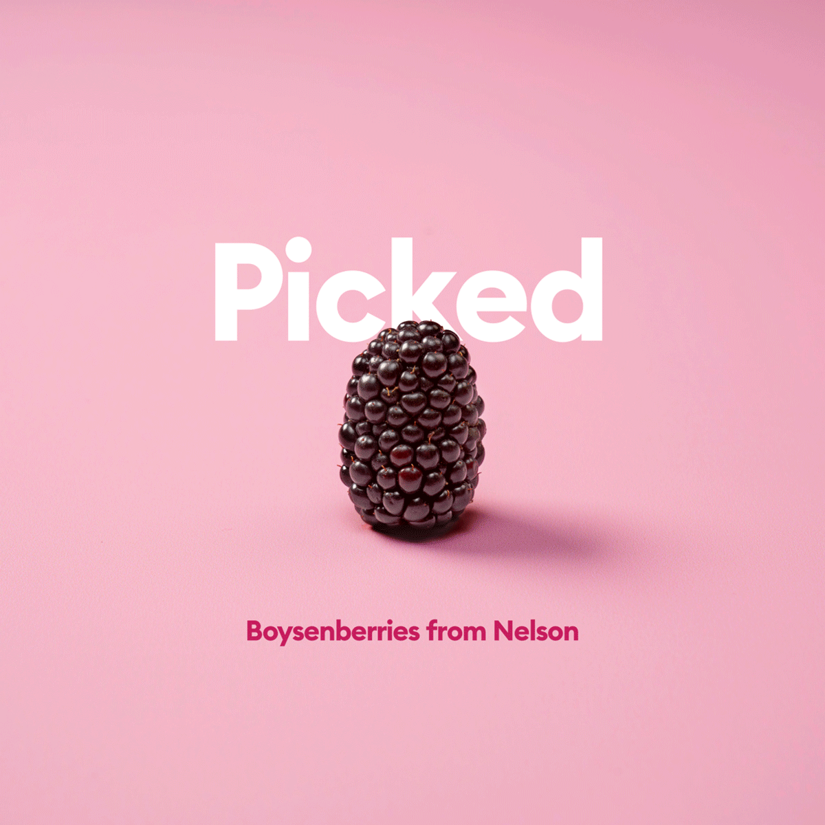 NR-Red-Socials-1200x1200-1.gif