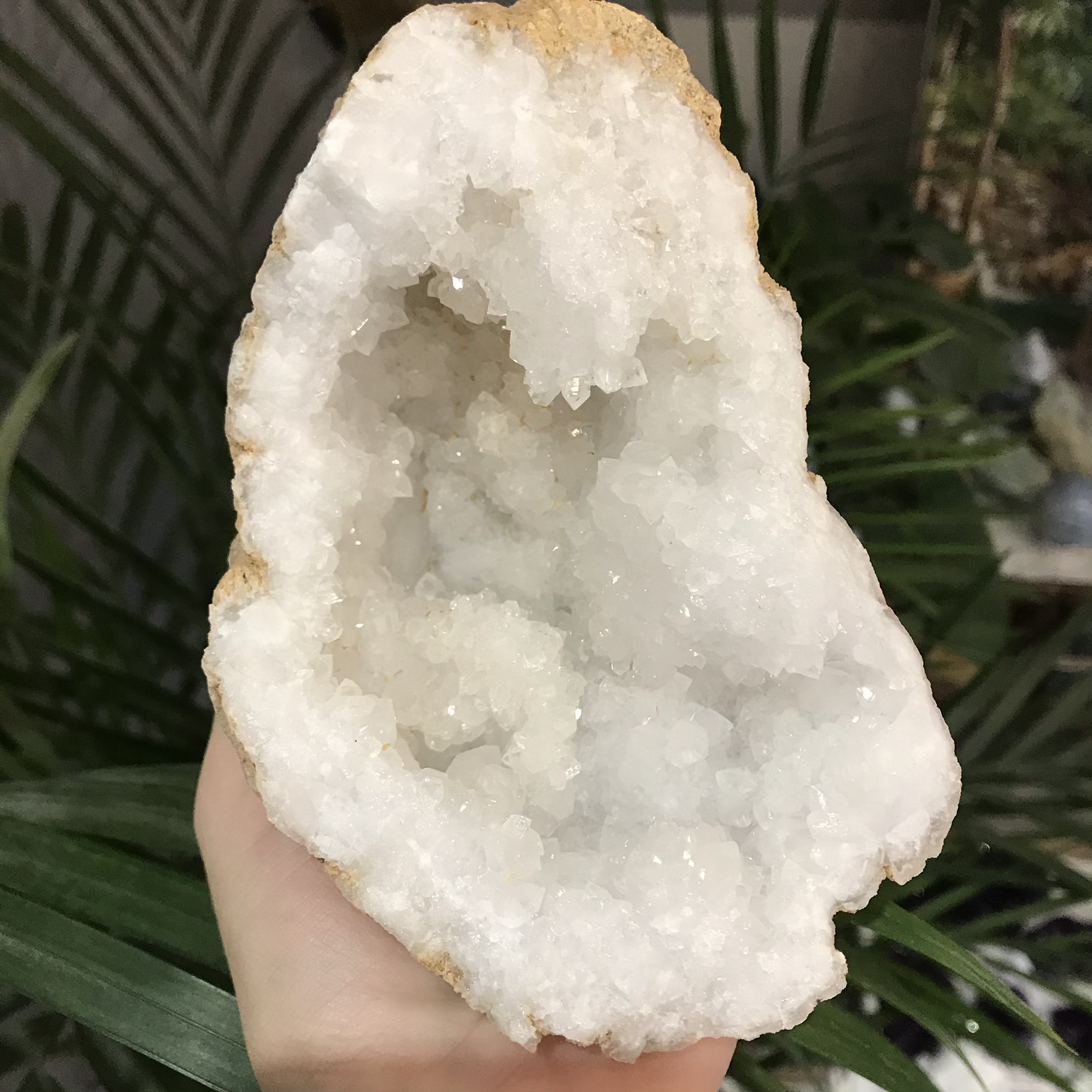 White Quartz geode with glossy points