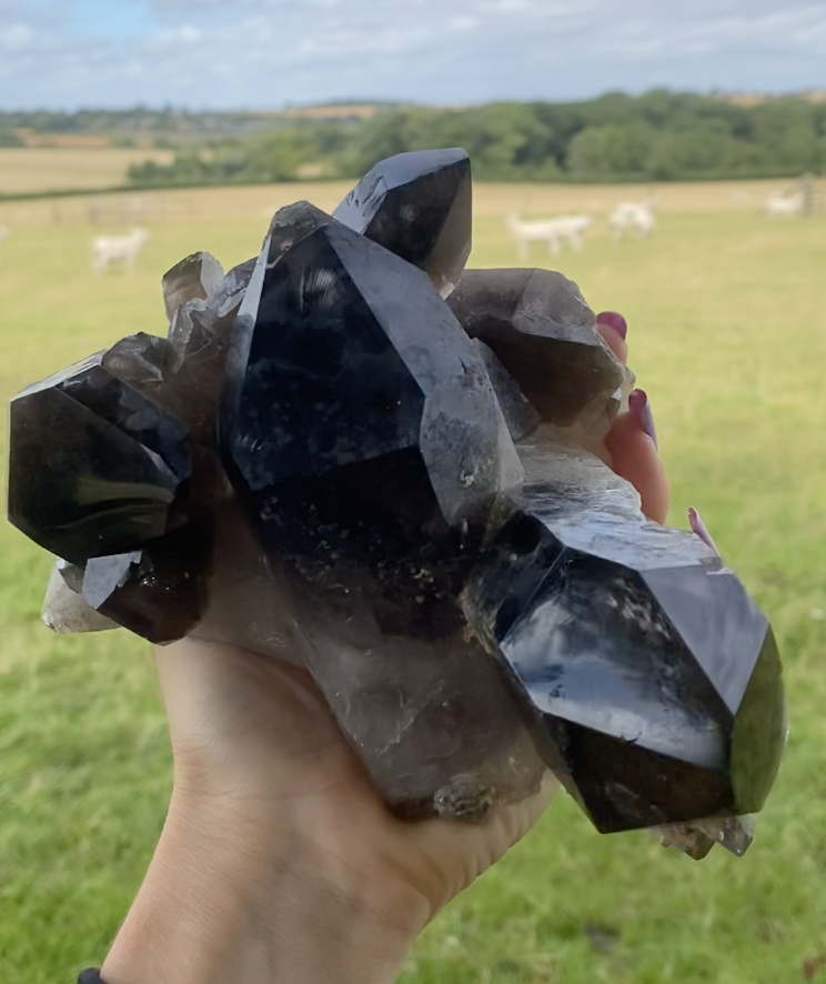 Thumbnail: Extra Large Smoky Quartz Cluster Morion Quartz from Brazil