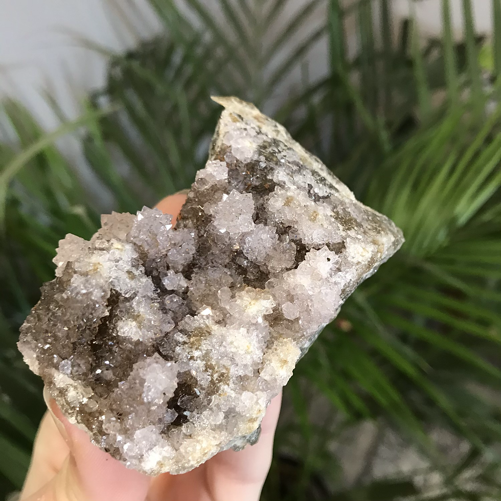 Thumbnail: Lilac Cactus Amethyst Cluster 